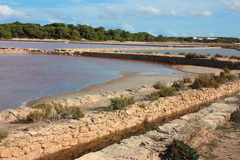 estany pudent