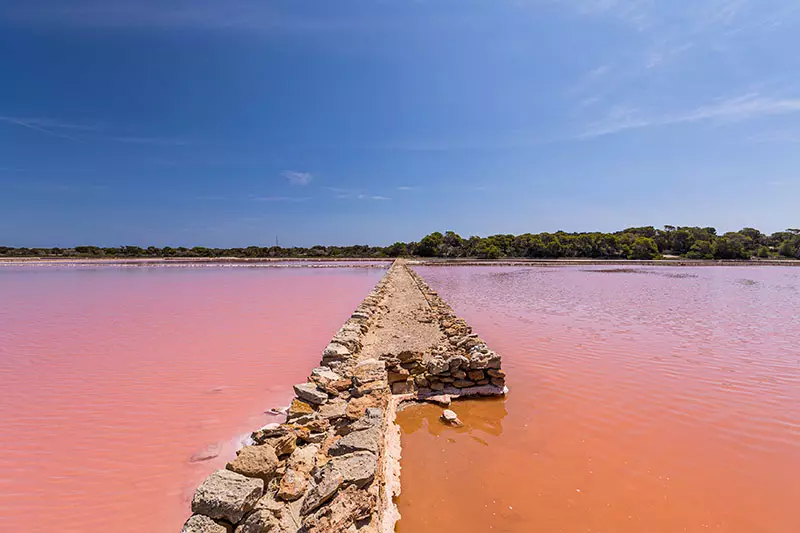 ses salines