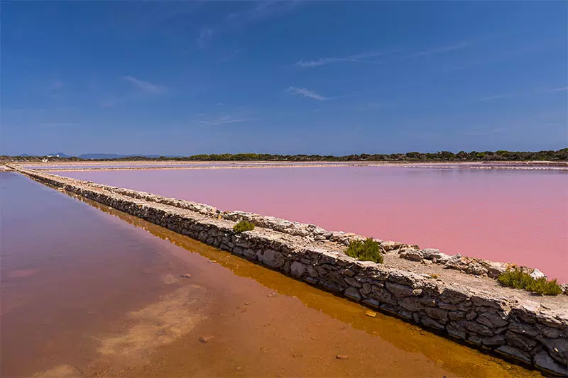 ses salines