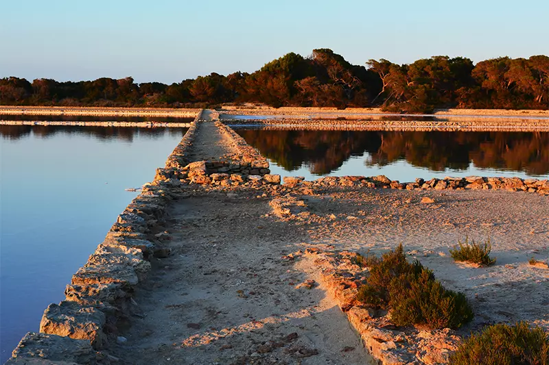 salinas