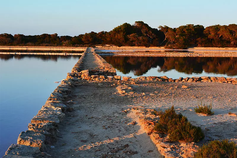 ses salines